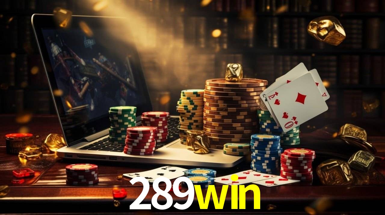 Interface Premium 289win